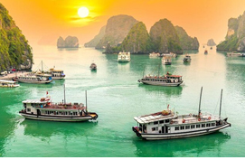 Explore Bai Tu Long Bay – Hanoi (B/Br)