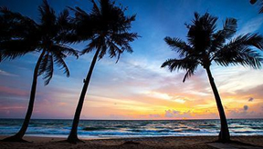 Ho Chi Minh City – Cu Chi Tunnels (B)