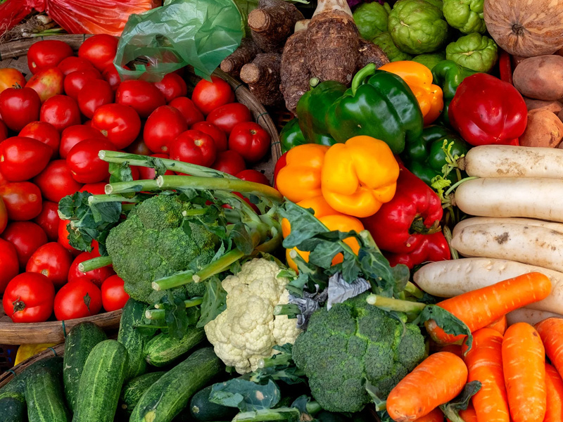 Organic Farming Boosts Rural Economy